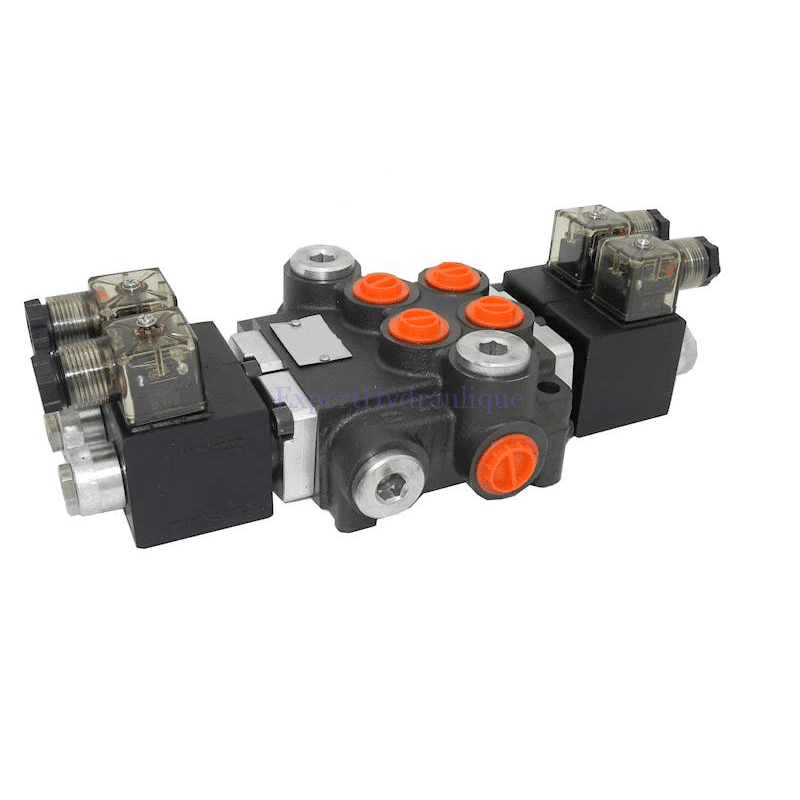 Distributeur 2 doubles effets électriques 12 ou 24V