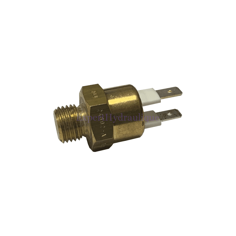 Sonde 50° en M14 pour radiateurs 250L