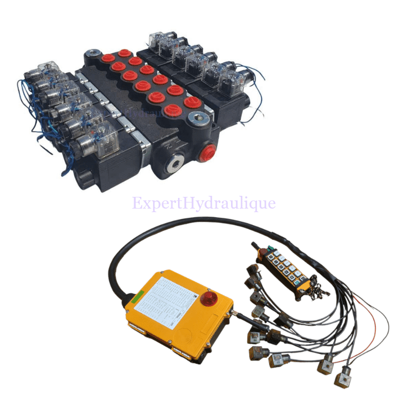 Kit distributeur électrique 6DE 50L/min + radiocommande câblée – Image 1