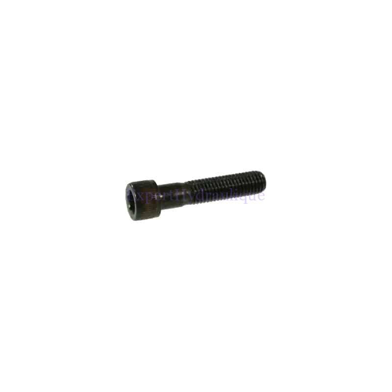 Vis tête cylindrique 6 pans creux CHC M5 qualité 12.9.