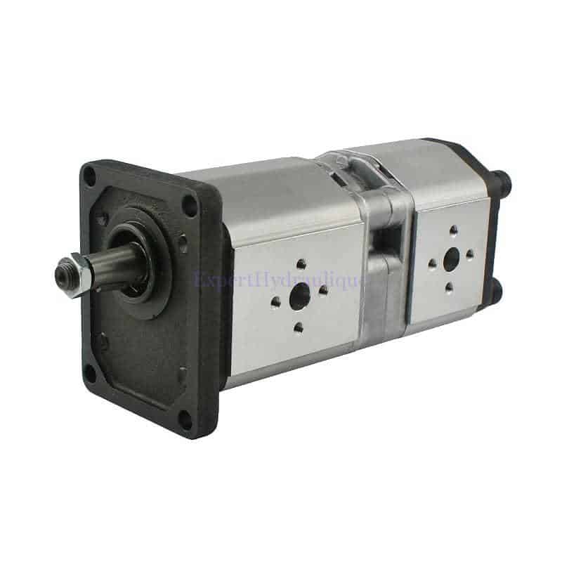 Pompe hydraulique double avec brides Pompe double avec arbre conique 1/8, flasque italien standard et brides.