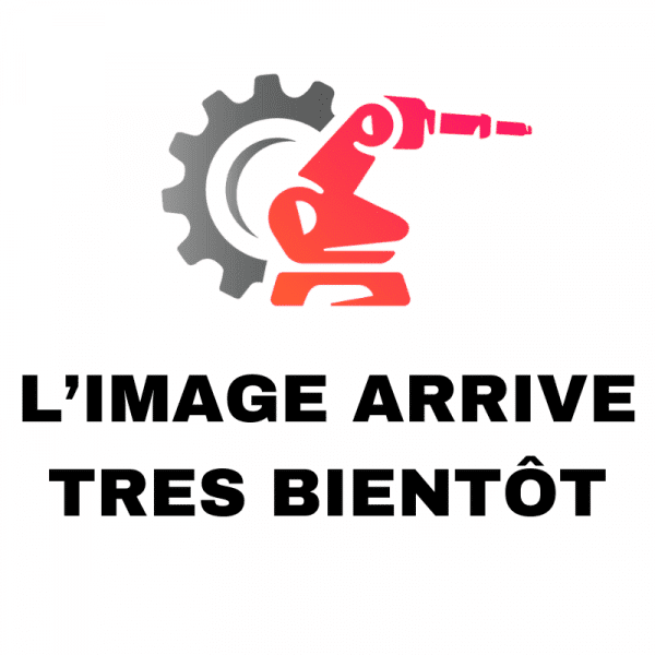 L’IMAGE ARRIVE TRES BIENTÔT.