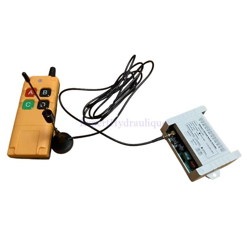 Radio commande 2 fonctions double effet portée 200 mètres