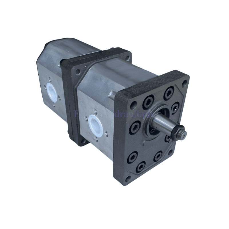 Pompe double 33 + 33 cm3 avec brides