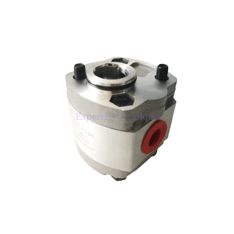 Pompe hydraulique GR1 sorties côté, arbre tournevis Pompe hydraulique GR1 sorties côté - arbre tournevis – Image 1