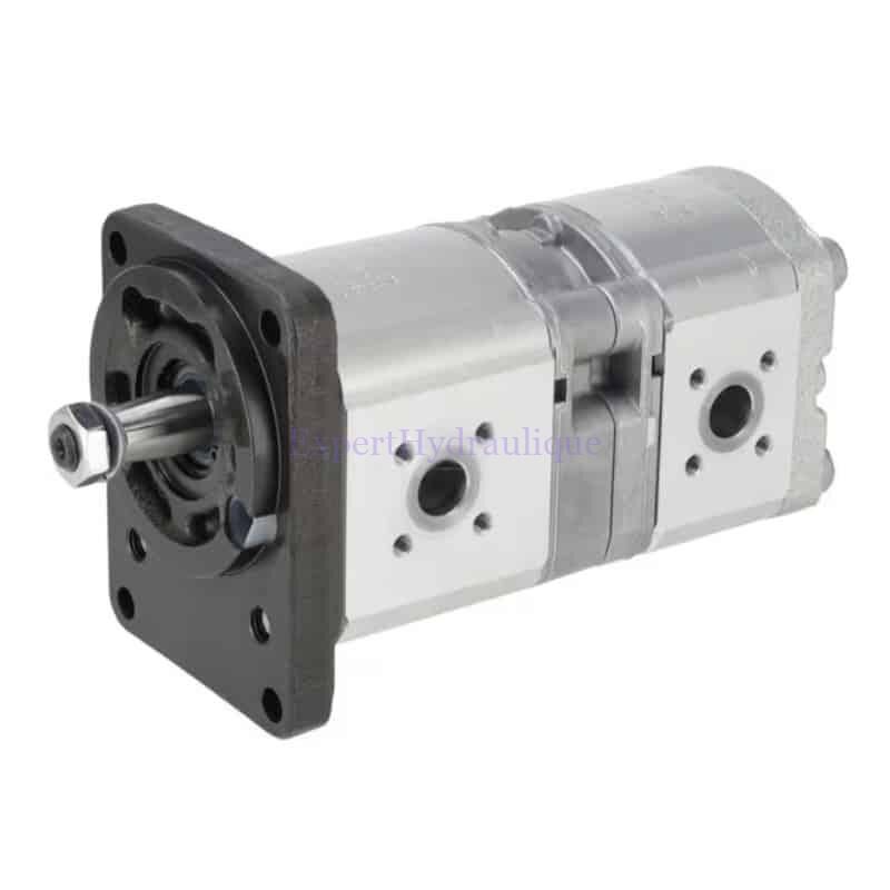 P212210X086 Pompe double flasque Allemand DIN avec arbre conique 1/5