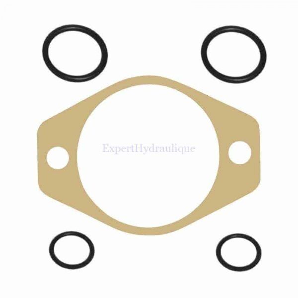 FGPREN002KITJOINT Kit joints papier et joints torique pour pompe double RENAULT 14 + 8 cm3