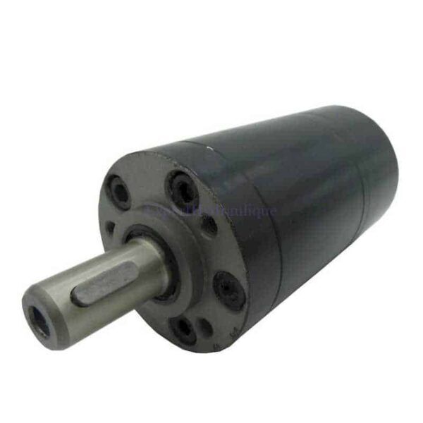 FGMMM032A16AR Moteur hydraulique OMM 32