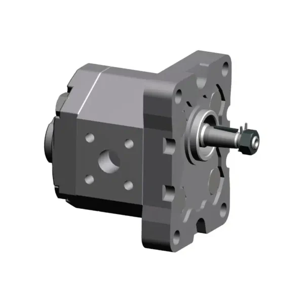 Pompe G1 Pompe hydraulique groupe 1.