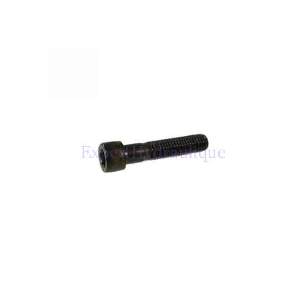 Vis 6 pans CHC M5 12.9 Vis tête cylindrique 6 pans creux CHC M5 qualité 12.9.