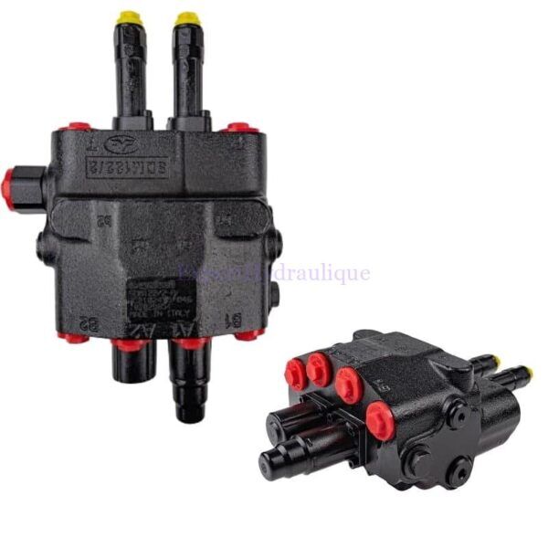 DM080A1D1CS Distributeur Centre à Suivre 2 fonctions 80L SDM-122/2 chargeur