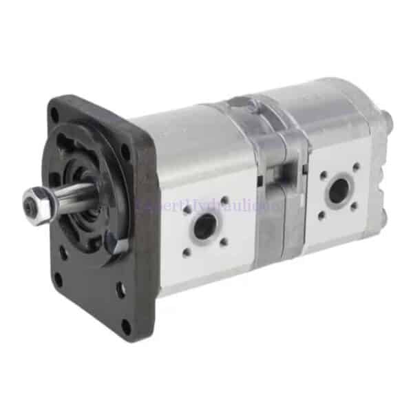 Pompe hydraulique double avec flasque Allemand et un arbre conique 1/5.